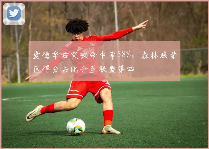 爱德华兹突破命中率58%，森林狼禁区得分占比升至联盟第四